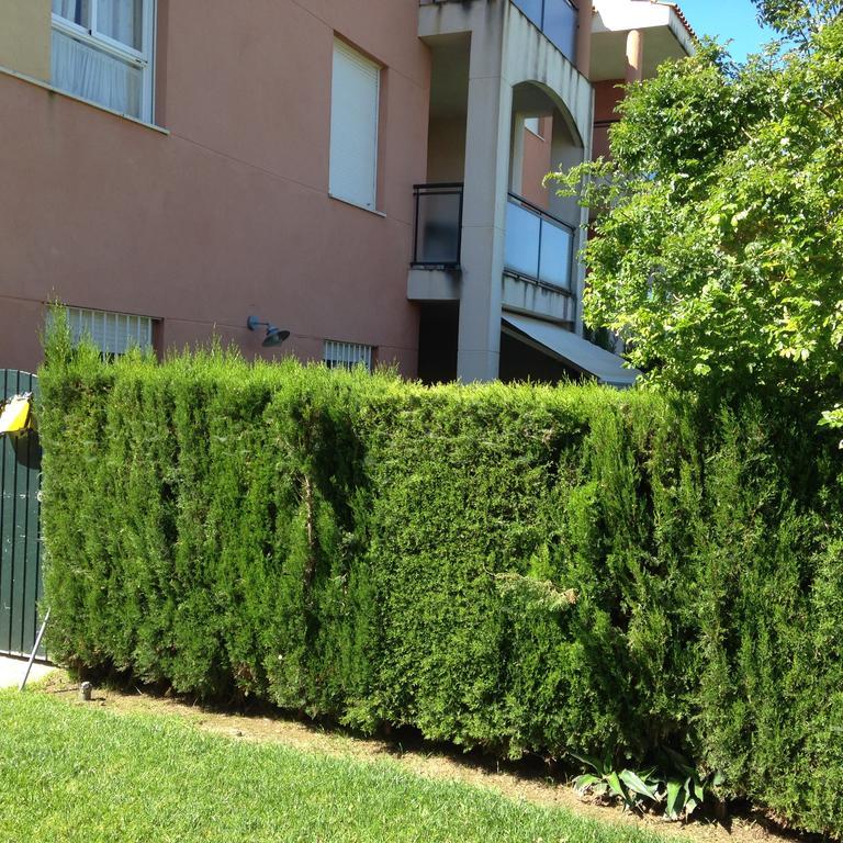 Divi Apartments コスタ・バジェーナ エクステリア 写真